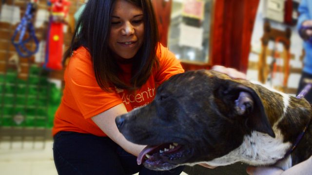 victoria-with-pup-640x360