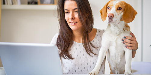 Online Banking